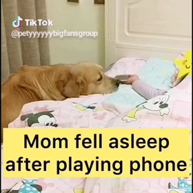 この記事の画像