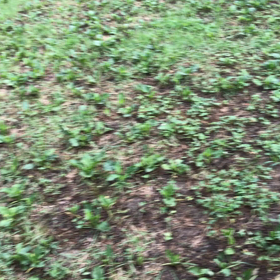 ぐるぐる走りの画像