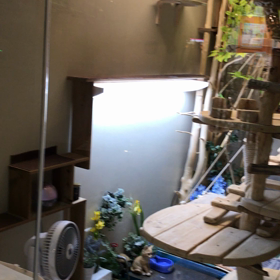 ふれあい譲渡会の時間延長の画像