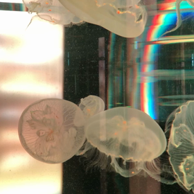 ゆるまる方がうまくいくの画像