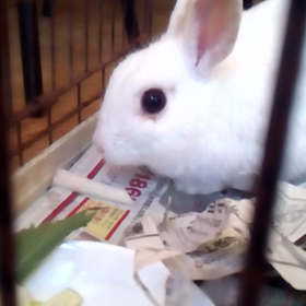 明日2月3日は「お試しケア in 東京」開催♪の画像