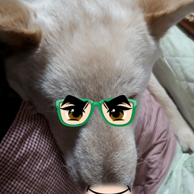 イタズラの画像