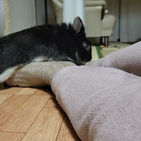 カクカクカクカクの画像