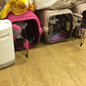 次は誰だ！？の画像