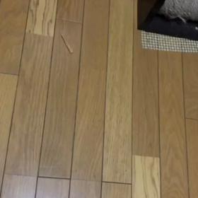 2ヶ月戦ってきたauペイ地域キャンペーン企画！デールちゃん。の画像