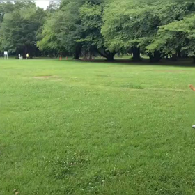 7/22　ジャベリック練習②の画像