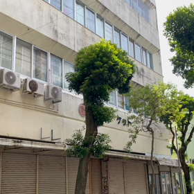 こんなん近年聞いた記憶がないの画像