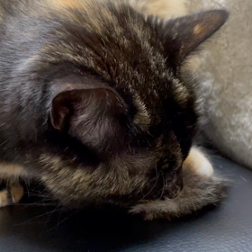 体調管理の画像