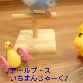 お客さんの前で、熱唱❤️ビッグショー♪の画像