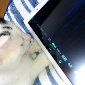 ドラえもんを真剣にの画像