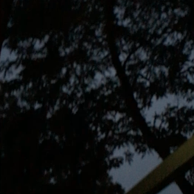 おはようございますの画像