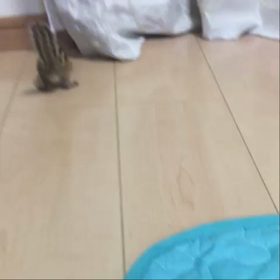 変な動き♡の画像