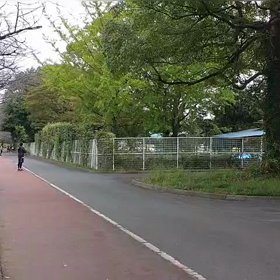 リレー選考会（ゴール付近）②の画像