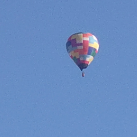 2022/02/25また現れたの画像