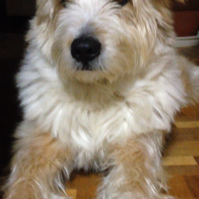 訴えてます！！の画像