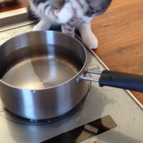 水遊び？の画像