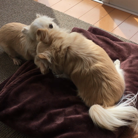 朝からハッスルの画像