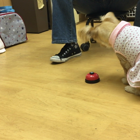 やるじゃん‼️の画像