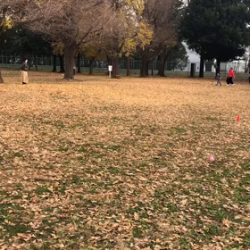 1000m２組目&1500m⑬の画像