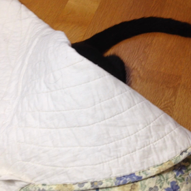 かくれんぼの画像