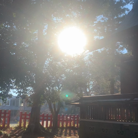 ただ生きていくの画像