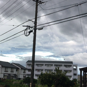 台風一過の画像