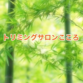 スライドショーの画像