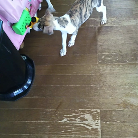 今日は何しようかな❗の画像