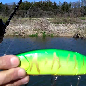 バラムのレンジをロッドワークで下げてみると…の画像