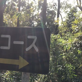 ♪お散歩動画♪砧公園♪の画像