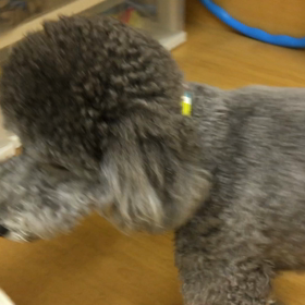 今日のオレはやったりましたぜ！！の画像