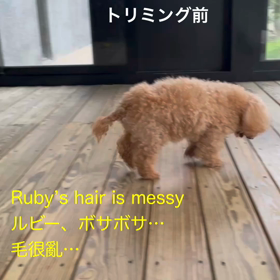 インスタの画像