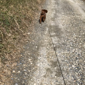 ひさしぶりです！の画像