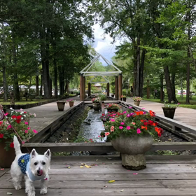 夏を振り返る 12 (軽井沢1)の画像