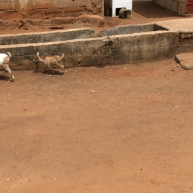 のんびりの画像