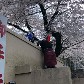 奉納プロレス -場外乱闘-。の画像