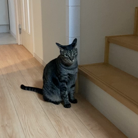 息子が大好きの画像