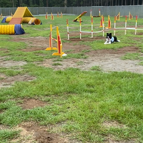 三ヶ月ぶりのレッスンの画像