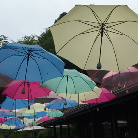 ハルニレテラスの画像