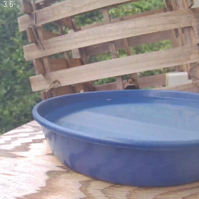 すぎぴたんの事件簿シーズン3　375話（遠近法のヤマガラ）の画像