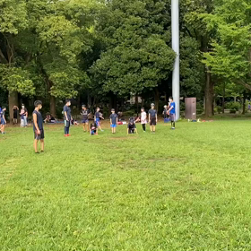 ダッシュ(黄緑チーム)⑤の画像