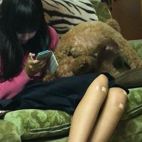 チルビンvshanamiの画像