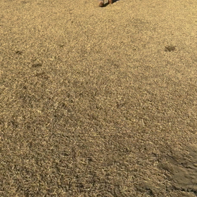 何でもない動画の画像