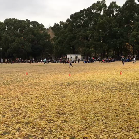 10色リレー ②の画像