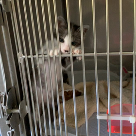 左脳欠損のルカ君 10の画像