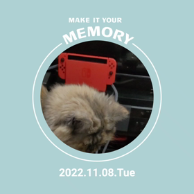 これアチチかにゃ？の画像