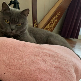 何気ない日常の中の、小さな幸せの画像