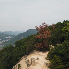 2019.5.26  兵庫県 須磨アルプス ジンバルカメラ動画2の画像