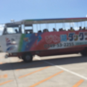 水陸両用の画像