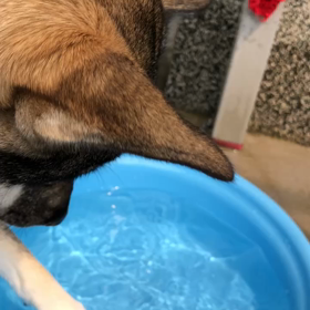 ことの遊び方 ③の画像